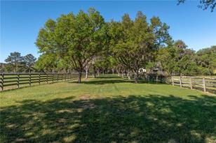 12275 W Hwy 318, Reddick, FL 32686 - Photo 18