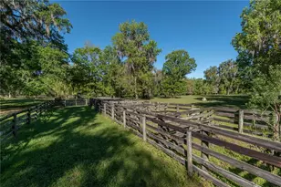 12275 W Hwy 318, Reddick, FL 32686 - Photo 80