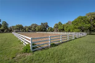 12275 W Hwy 318, Reddick, FL 32686 - Photo 66