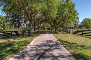 12275 W Hwy 318, Reddick, FL 32686 - Photo 4