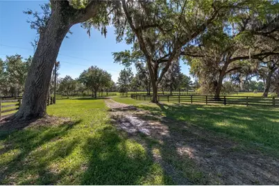 12275 W Highway 318, Reddick, FL 32686 - Photo 64