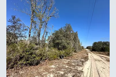 Ne 63rd Place, Williston, FL 32696 - Photo 2