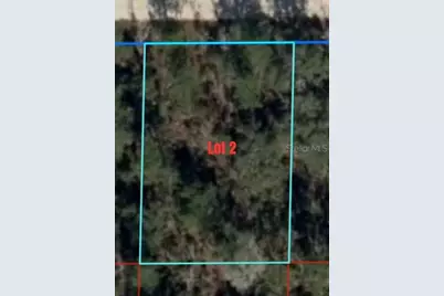 Ne 66th Lane, Williston, FL 32696 - Photo 2