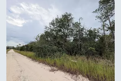 Ne 66th Lane, Williston, FL 32696 - Photo 1