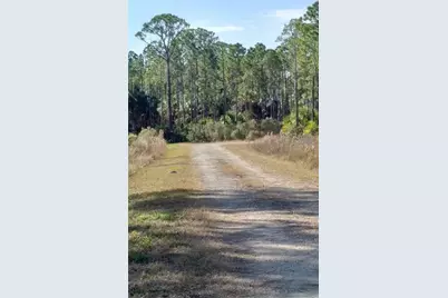 Lot 9 SW 104 Street, Cedar Key, FL 32625 - Photo 6