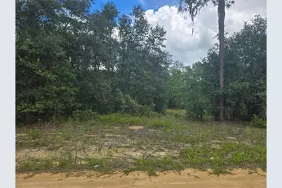 Tbd David Drive, Interlachen, FL 32148 - Photo 6