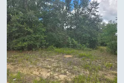 Tbd David Drive, Interlachen, FL 32148 - Photo 4