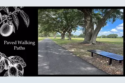 6023 SW 124th Way, Archer, FL 32618 - Photo 12