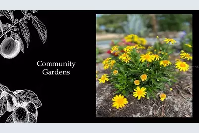 6023 SW 124th Way, Archer, FL 32618 - Photo 16