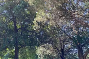 1801 NE 77th St, Ocala, FL 34479 - Photo 4