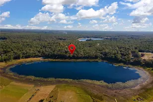 250 W West Lake Dr, Hawthorne, FL 32640 - Photo 92