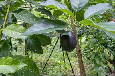 250 W West Lake Drive, Hawthorne, FL 32640 - Photo 18