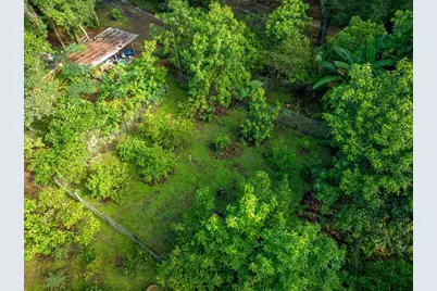 250 W West Lake Drive, Hawthorne, FL 32640 - Photo 92