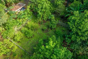 250 W West Lake Dr, Hawthorne, FL 32640 - Photo 92