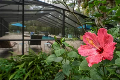 250 W West Lake Drive, Hawthorne, FL 32640 - Photo 18