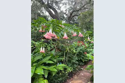 250 W West Lake Drive, Hawthorne, FL 32640 - Photo 48