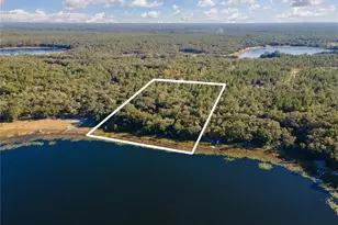 250 W West Lake Dr, Hawthorne, FL 32640 - Photo 94