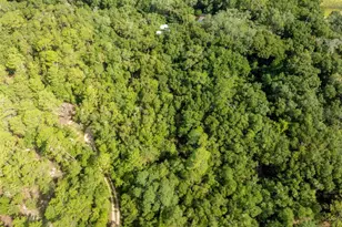 250 W West Lake Dr, Hawthorne, FL 32640 - Photo 50