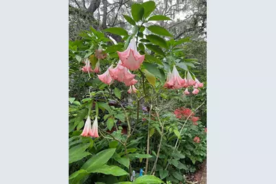 250 W West Lake Drive, Hawthorne, FL 32640 - Photo 88