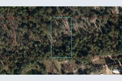 Tbd NE 95th Street, Bronson, FL 32621 - Photo 1
