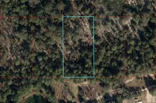 Tbd NE 95th St, Bronson, FL 32621 - Photo 1