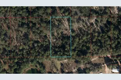 Tbd NE 95th Street, Bronson, FL 32621 - Photo 1