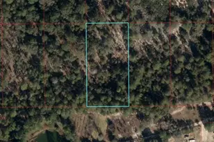 Tbd NE 95th St, Bronson, FL 32621 - Photo 1