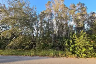 3402 39th St SW, Lehigh Acres, FL 33976 - Photo 1