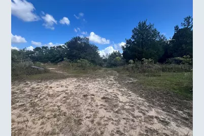 4800 Cypress Street, Keystone Heights, FL 32656 - Photo 6