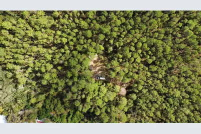 0 5th Street, Altoona, FL 32702 - Photo 8