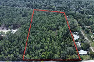 0 5th St, Altoona, FL 32702 - Photo 1