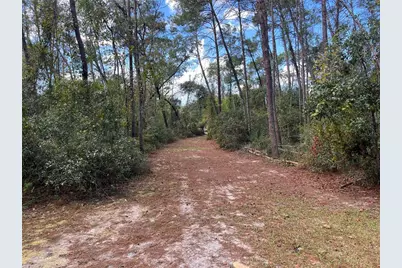 0 5th Street, Altoona, FL 32702 - Photo 12