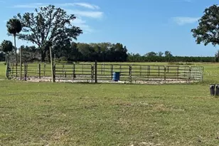 9271 NW 70 St, Chiefland, FL 32626 - Photo 62