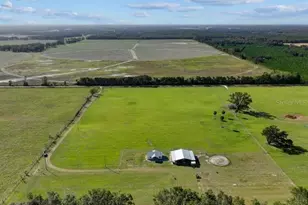 9271 NW 70 St, Chiefland, FL 32626 - Photo 32