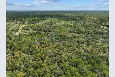 310 N Otter Creek Avenue, Bronson, FL 32621 - Photo 6