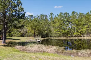 151 SW Silver Palm Dr, Lake City, FL 32024 - Photo 36