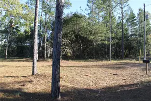 221 Magnolia Rd, Hawthorne, FL 32640 - Photo 6