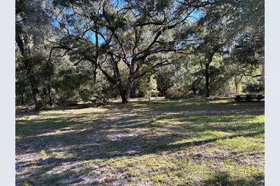 12003 SE 225th Drive, Hawthorne, FL 32640 - Photo 4