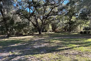 12003 SE 225th Dr, Hawthorne, FL 32640 - Photo 4