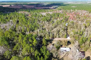 7629 NE 111th Pl, Gainesville, FL 32609 - Photo 34