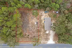 651 NE State Road 121, Williston, FL 32696 - Photo 28