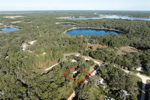 270 Bay St, Hawthorne, FL 32640 - Photo 22