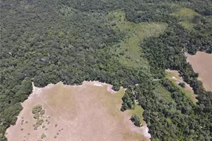 11810 SE County Road 234, Micanopy, FL 32667 - Photo 82