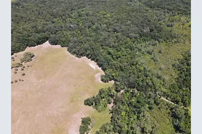 11810 SE County Road 234, Micanopy, FL 32667 - Photo 84