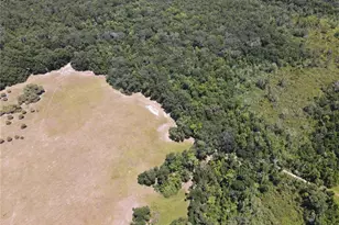 11810 SE County Road 234, Micanopy, FL 32667 - Photo 84