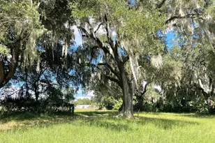 11810 SE County Road 234, Micanopy, FL 32667 - Photo 70