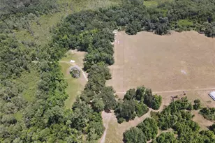 11810 SE County Road 234, Micanopy, FL 32667 - Photo 16