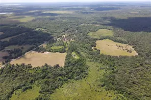 11810 SE County Road 234, Micanopy, FL 32667 - Photo 80