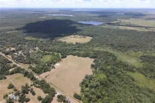 11810 SE County Road 234, Micanopy, FL 32667 - Photo 90