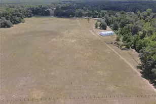 11810 SE County Road 234, Micanopy, FL 32667 - Photo 88